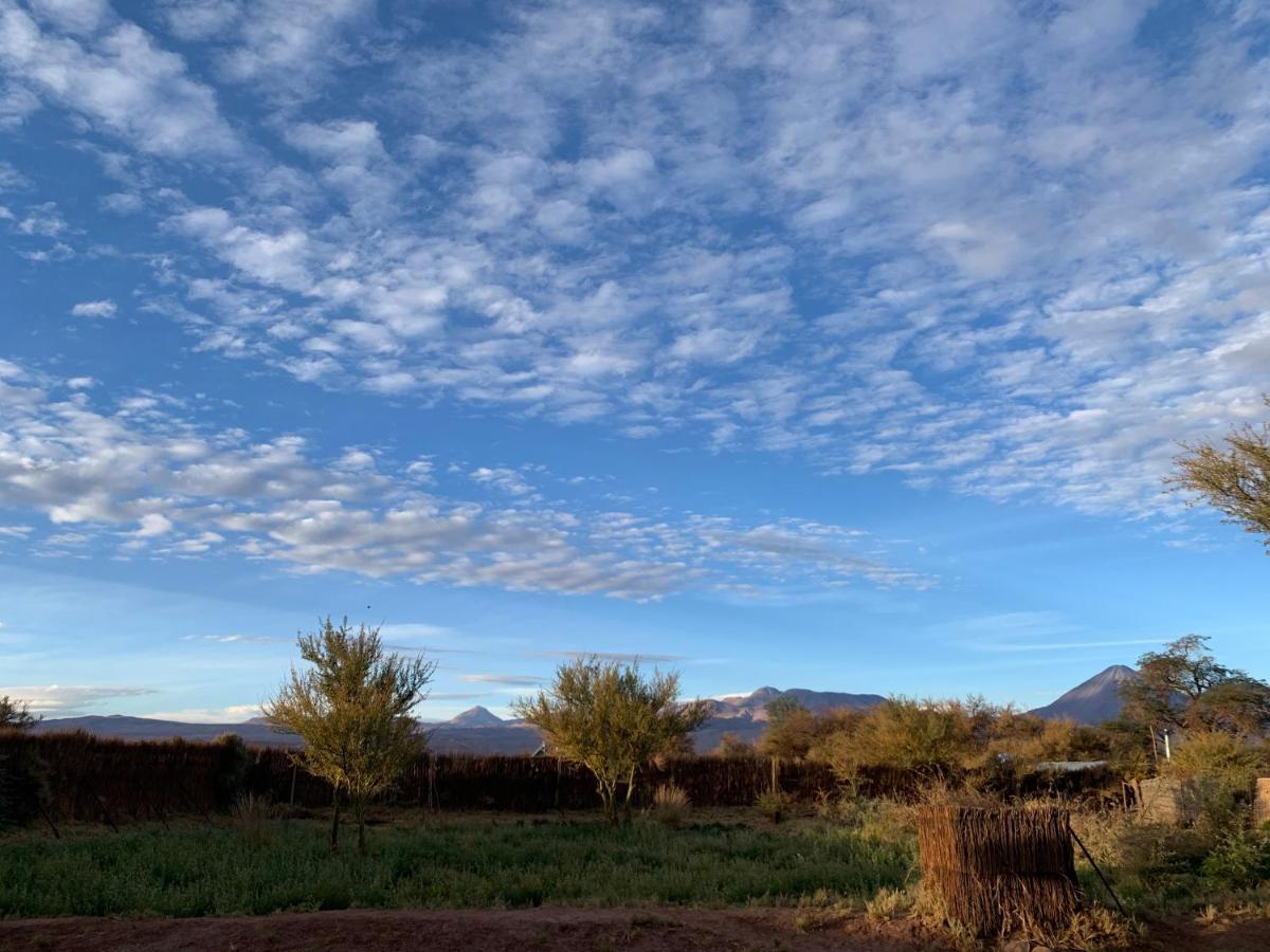 Вилла Sami Atacama Сан-Педро-де-Атакама Экстерьер фото